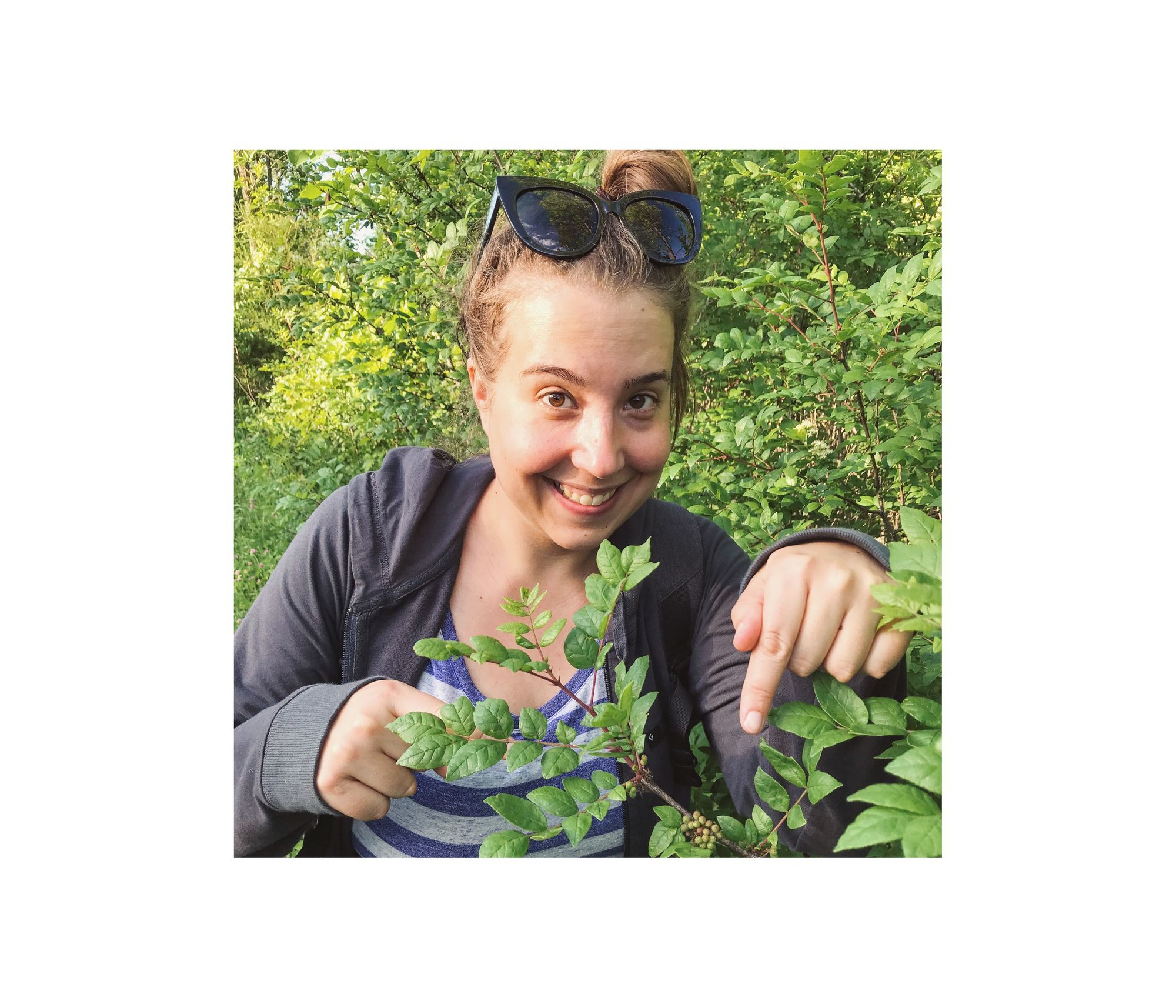 Four Season Foraging - Maria Wesserle