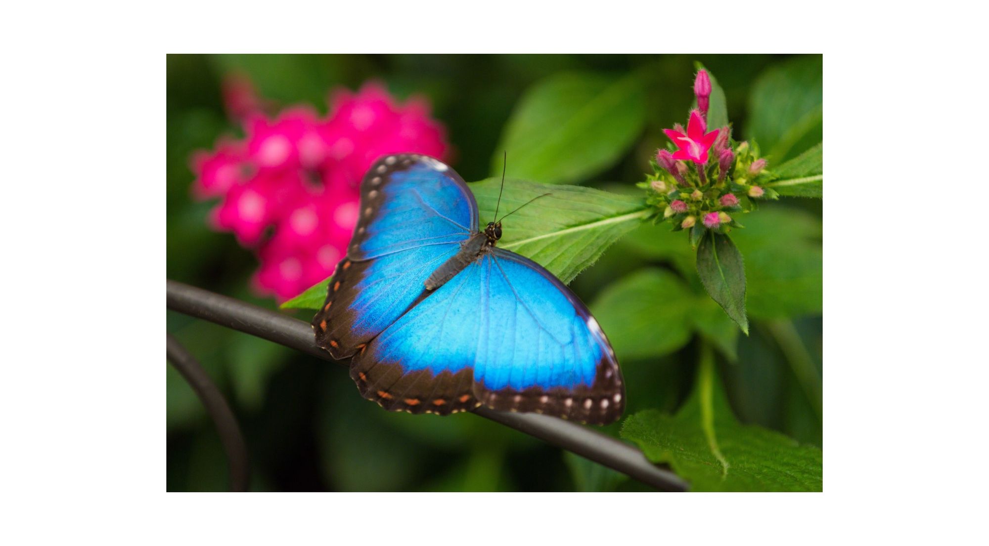 Hands-on and Fun Photography Classes - C1M Photography