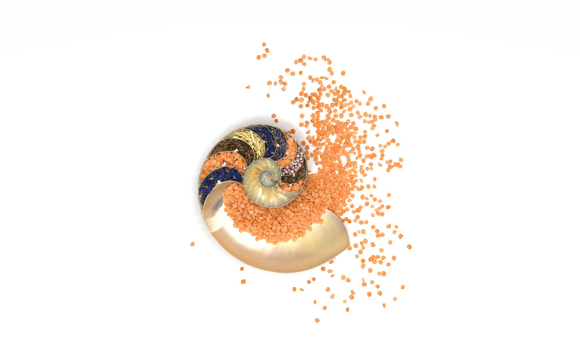 Art, Photography, Words - Beth Adoette