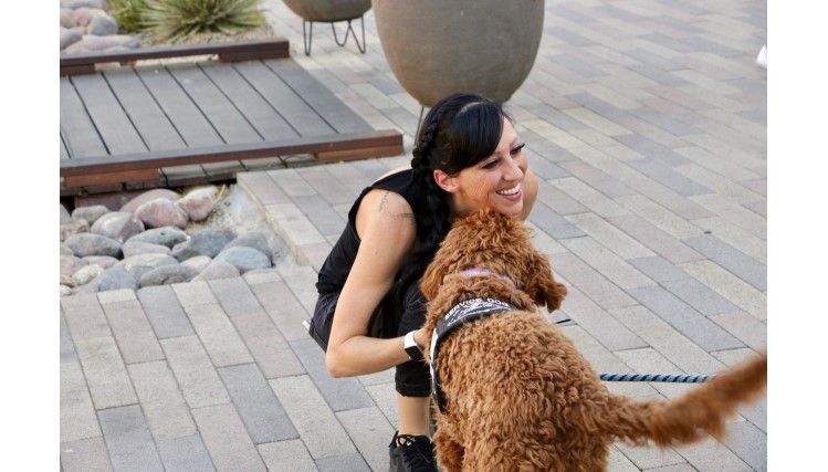 Changing Lives - 4E Kennels Badass Breeder Healing Hearts