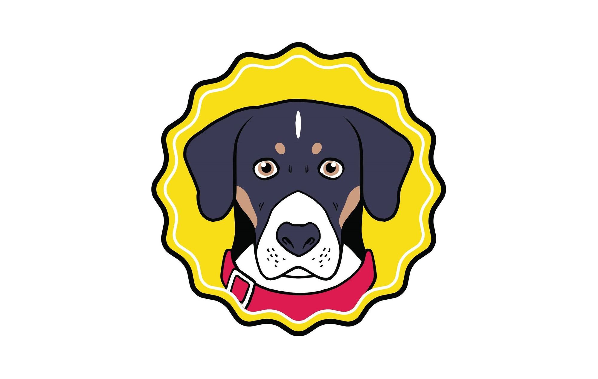 Bone Broth for Dogs Made With Love! - Brutus Bone Broth