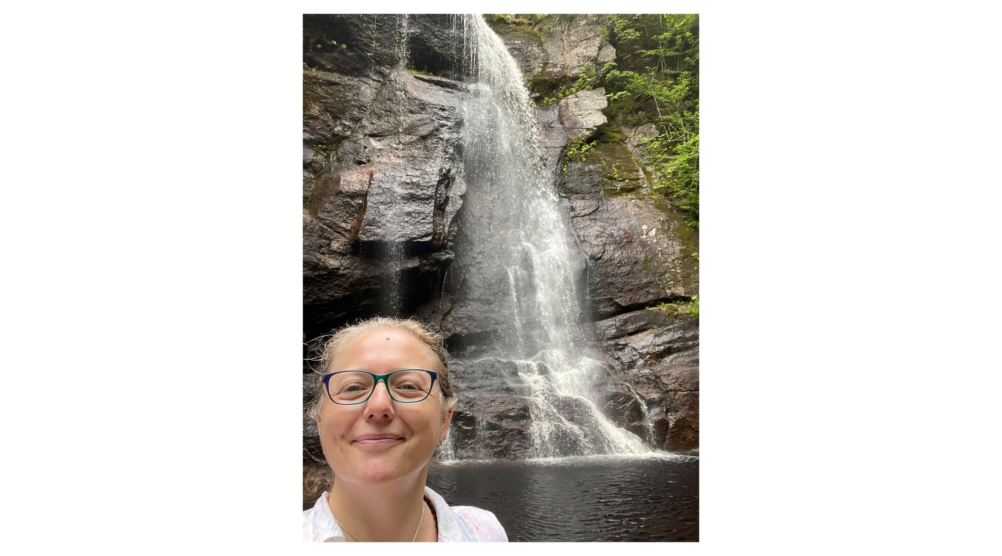 Reach Your Health Goals - Elderberry Herbals