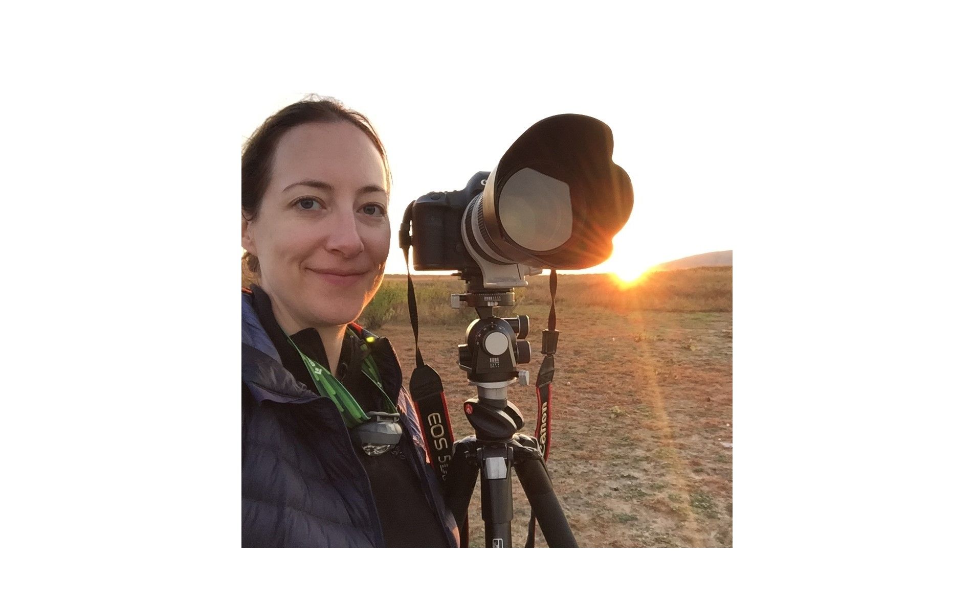 Still + Motion Photography - Heather Collins