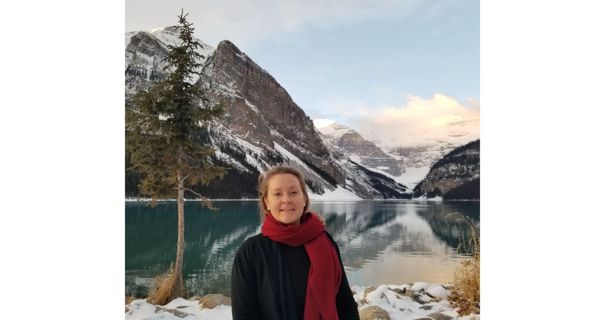 Navigating Your Life Transition - Tools for Evolution