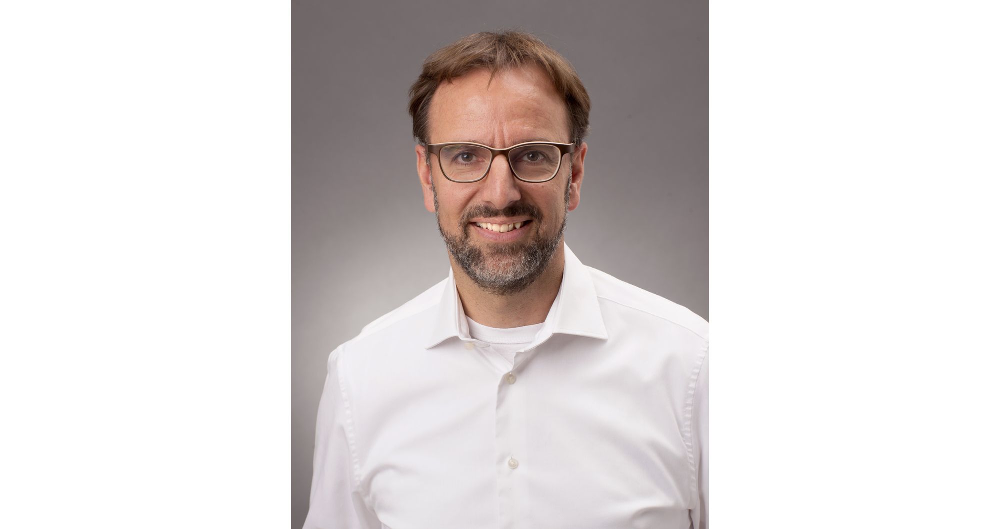 Improve Your Wealth Organization - BeeWyzer