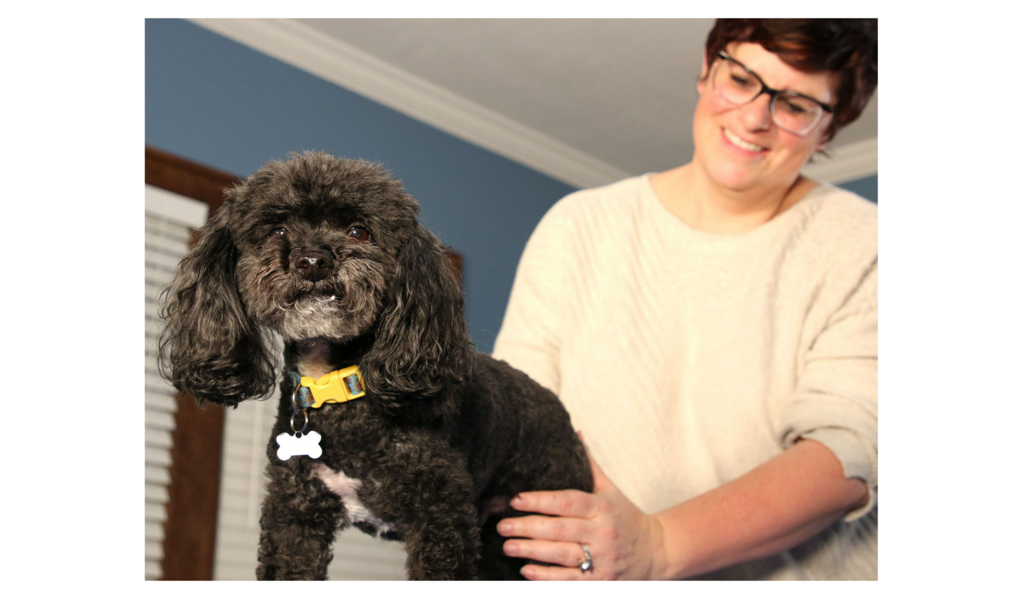 Pet Massage - Radiant Paws