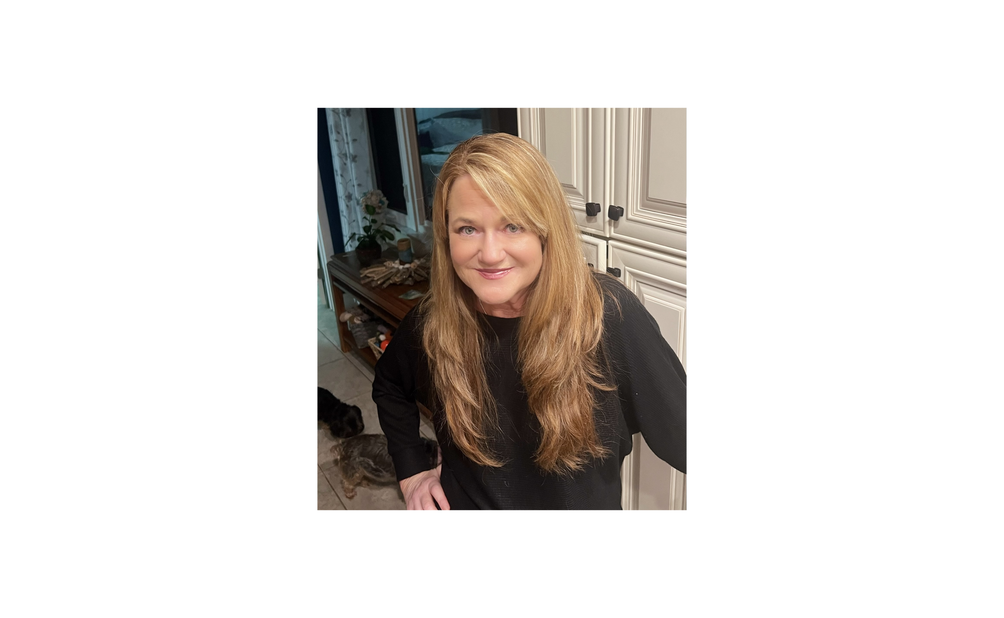 Bringing the States to You - Dane Anderson