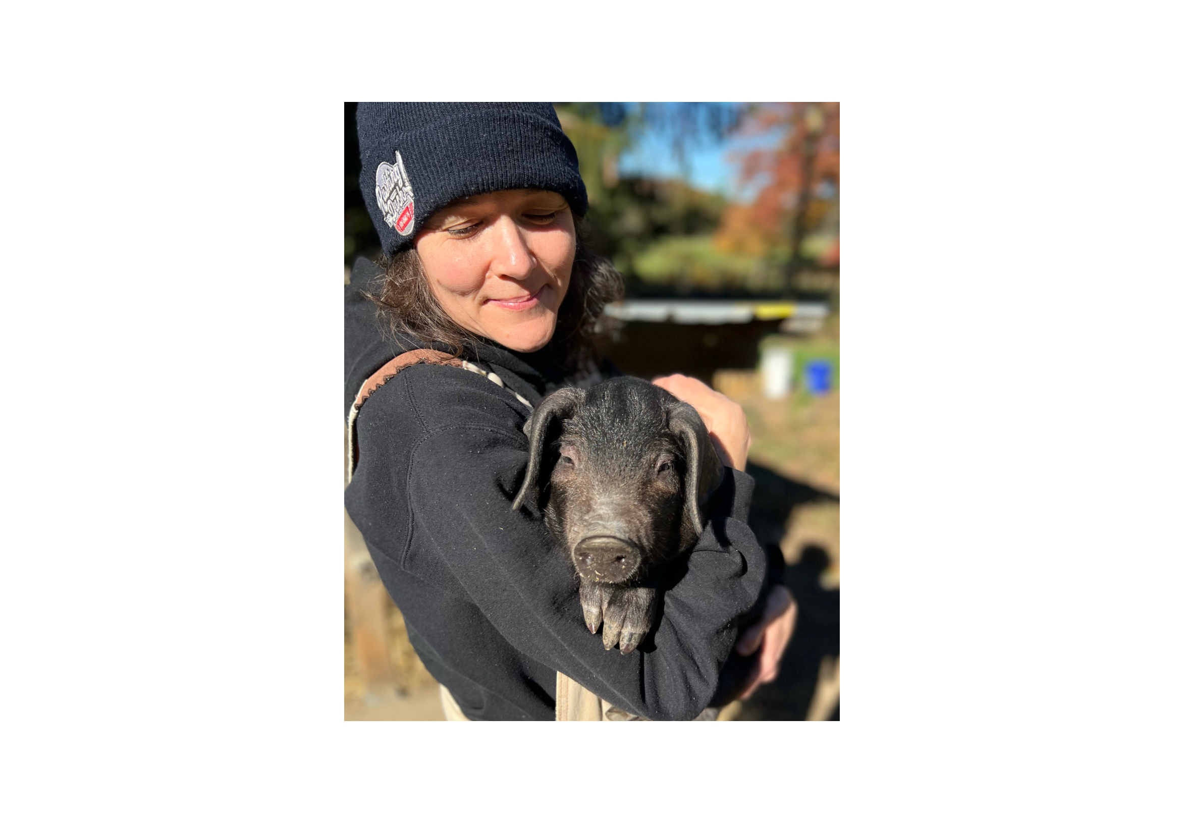 Home of Cara-Sel Salted Caramel - The Ardent Homesteader