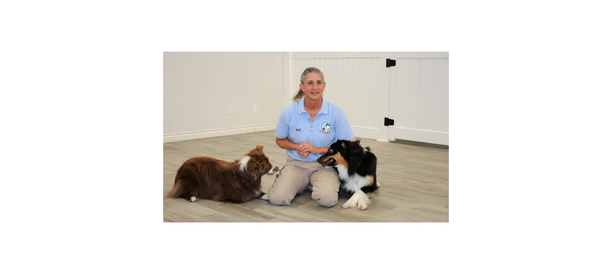 Turning Rowdy Rovers Into Well-Mannered Mutts - Staci Lemke