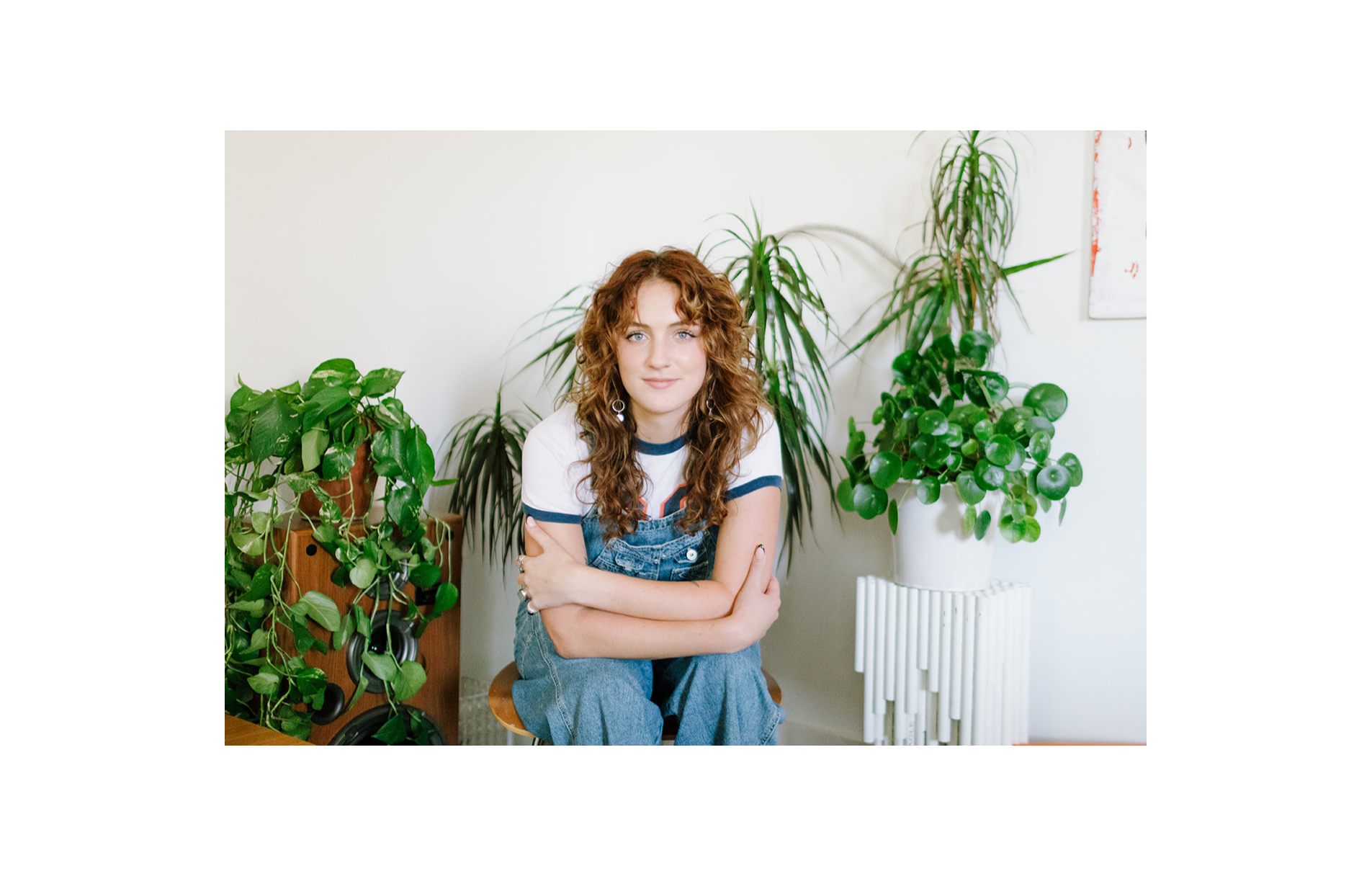 Plant Design, Styling, And Installation - Plant Savvy