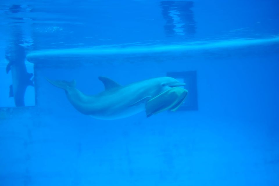 Visit to National Aquarium