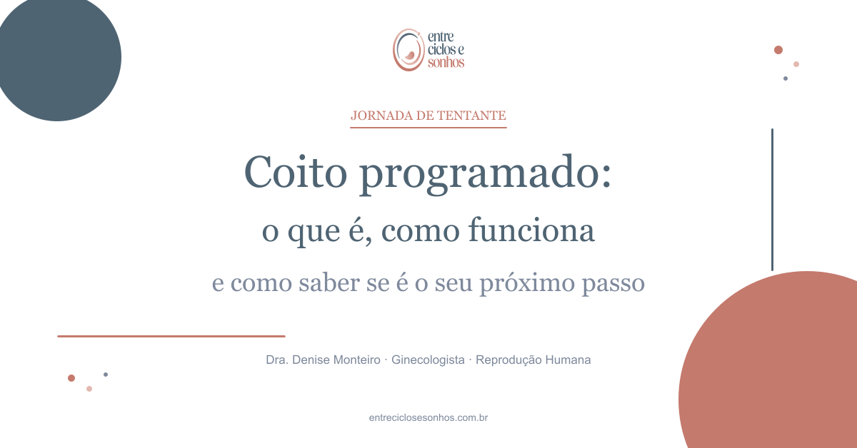 Imagem ilustrativa do artigo: O coito programado desmistificado: o que é, como funciona — e como saber se é o próximo passo d
