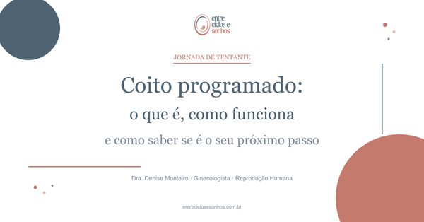 Imagem ilustrativa do artigo: O coito programado desmistificado: o que é, como funciona — e como saber se é o próximo passo d