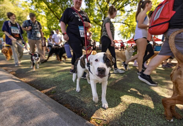 America’s Wildest, Sweetest, and Most Scenic Races