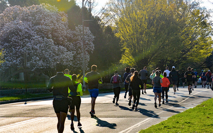 Best Half Marathons in New York State