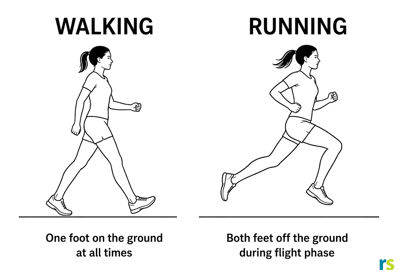 The flight phase is the difference between running and walking