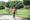 A woman training in the park using Jeff Galloway's run-walk method