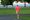 A man running in the park at an easy pace