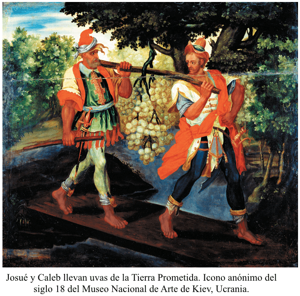 frutas-biblia-1.png