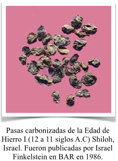 frutas-biblia.png