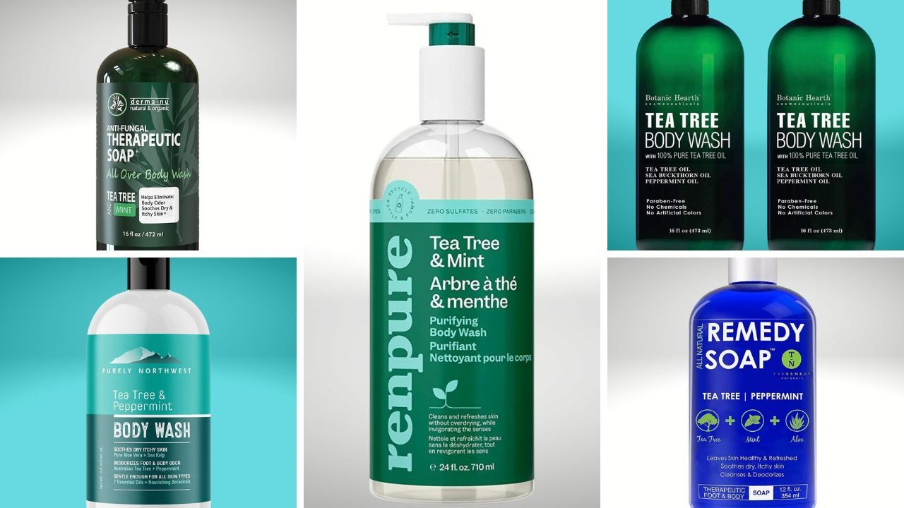 Best Tea Tree Body Wash 