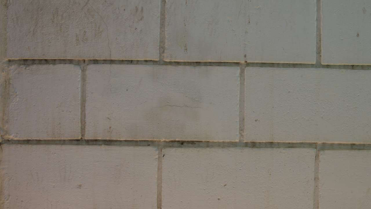 White stonewashed brick wall representing the skin barrier.