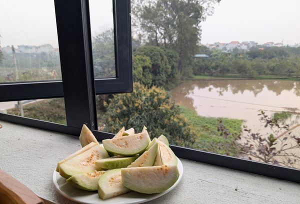 Living in Việt Nam, Pt. 7 - Of Mice and Nem