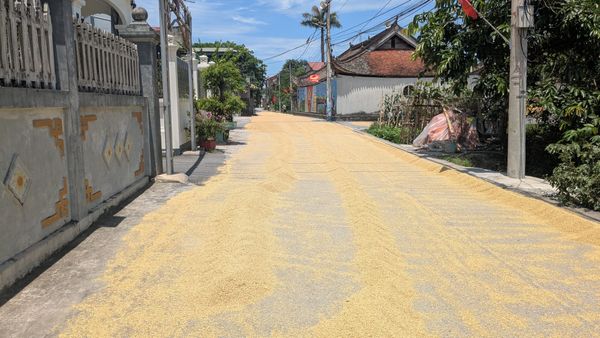 A Brief from Việt Nam: A Day in the Life