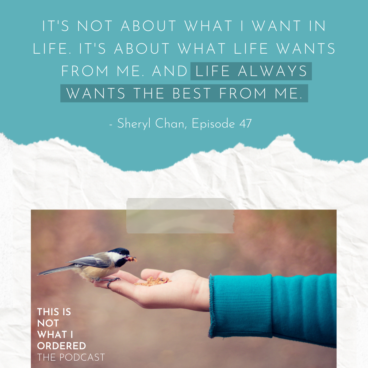This Is Not What I Ordered, the Podcast, Episode 47: Acceptance Is Power With Sheryl Chan