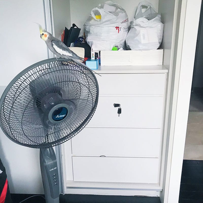 Yes, I have a cabinet just for medications.