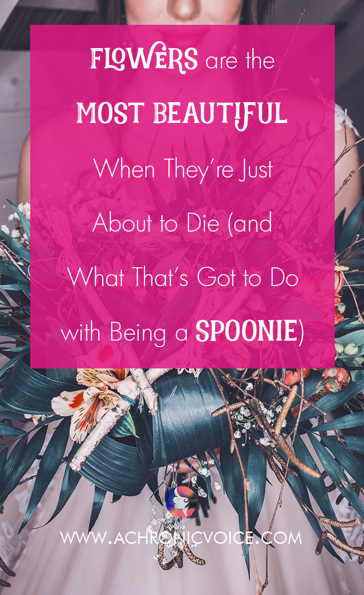 Flowers are the Most Beautiful When They’re Just About to Die (and What That’s Got to Do with Being a Spoonie)