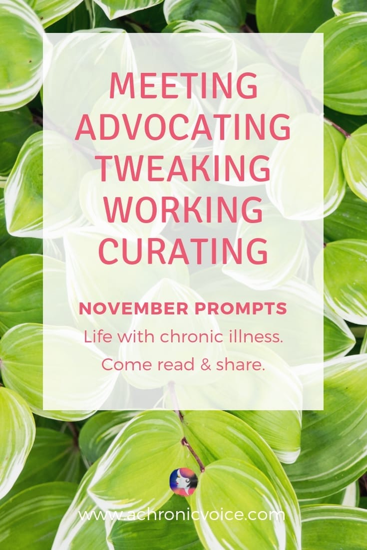 November 2018 Prompts: Meeting, Advocating, Tweaking, Working & Curating