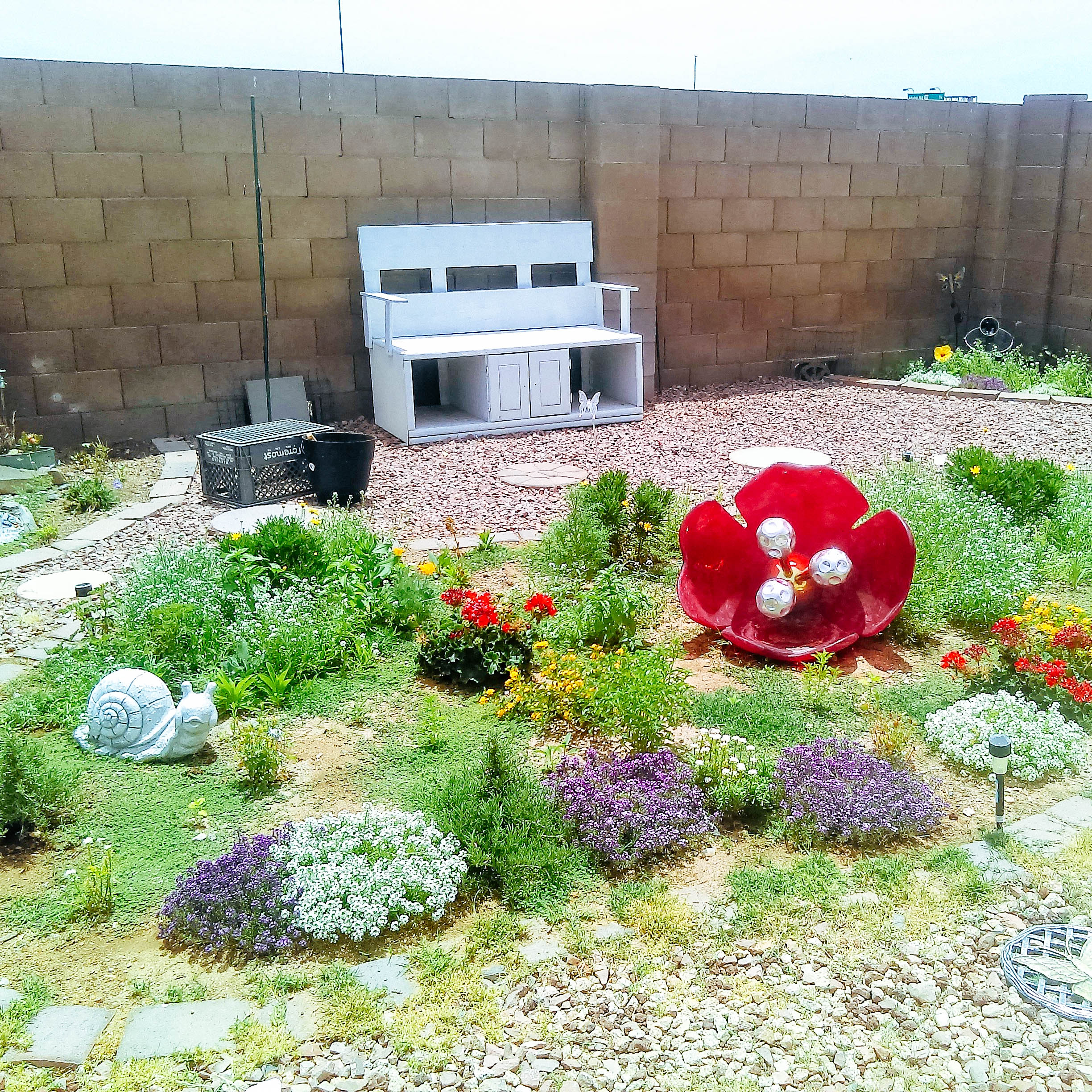 Shannon’s manicured yard