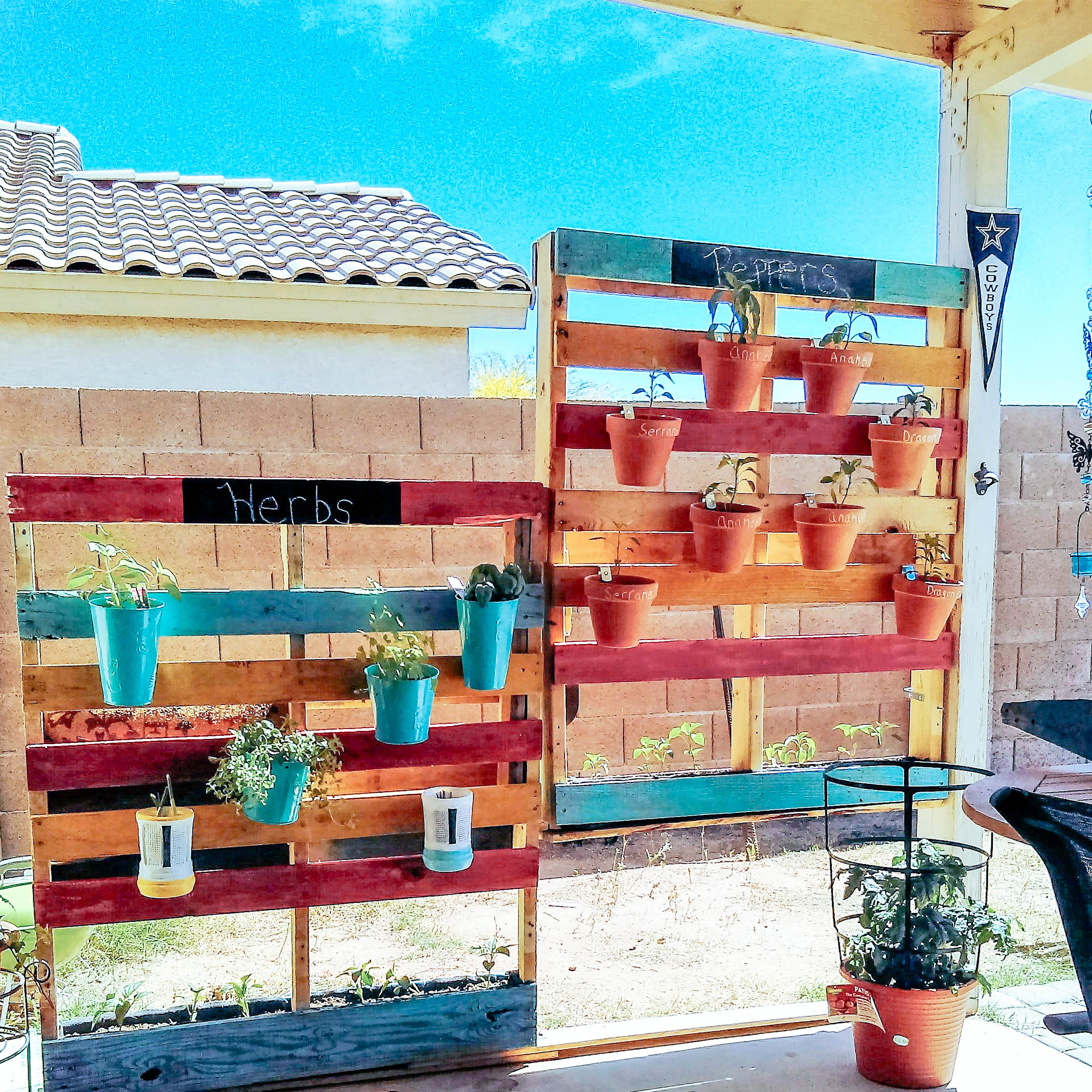 Pallet garden and wall built by Shannon
