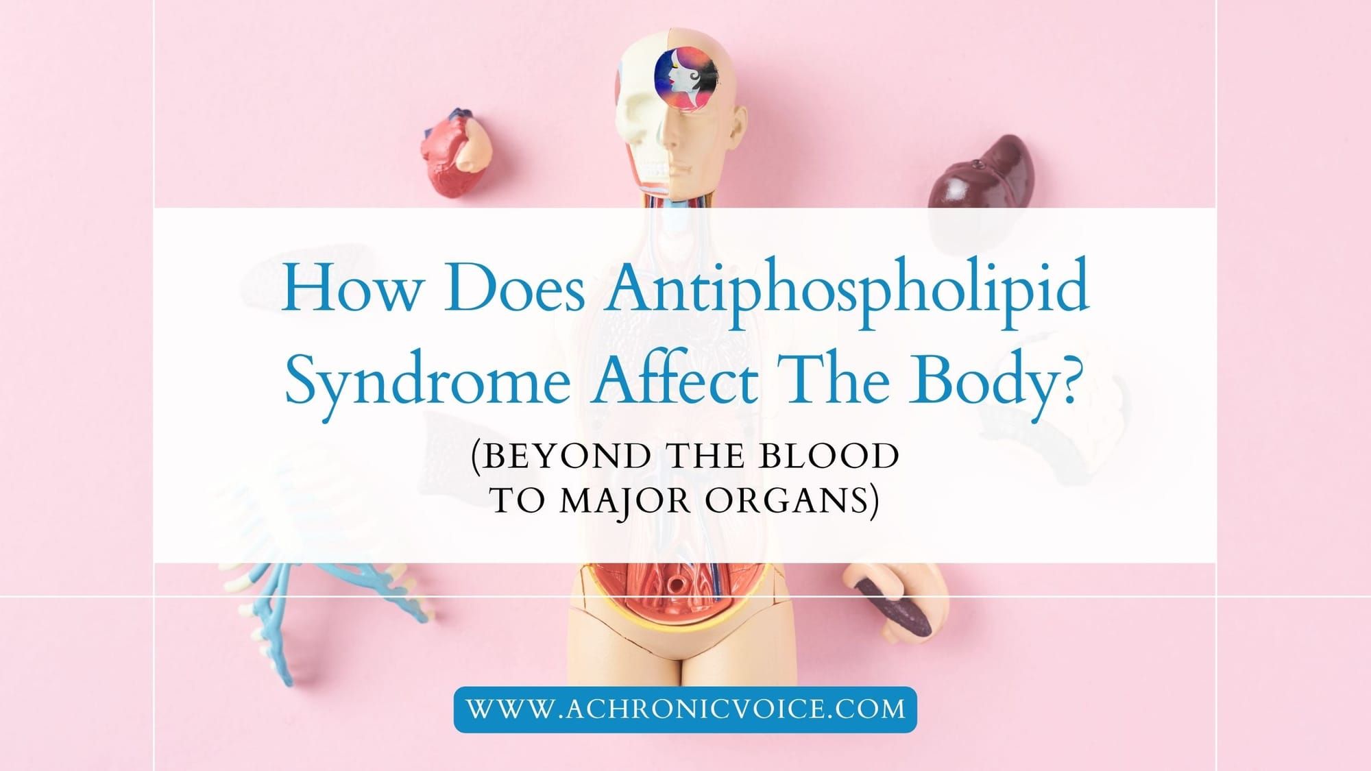 How Does Antiphospholipid Syndrome Affect The Body? (Beyond the Blood to Major Organs)