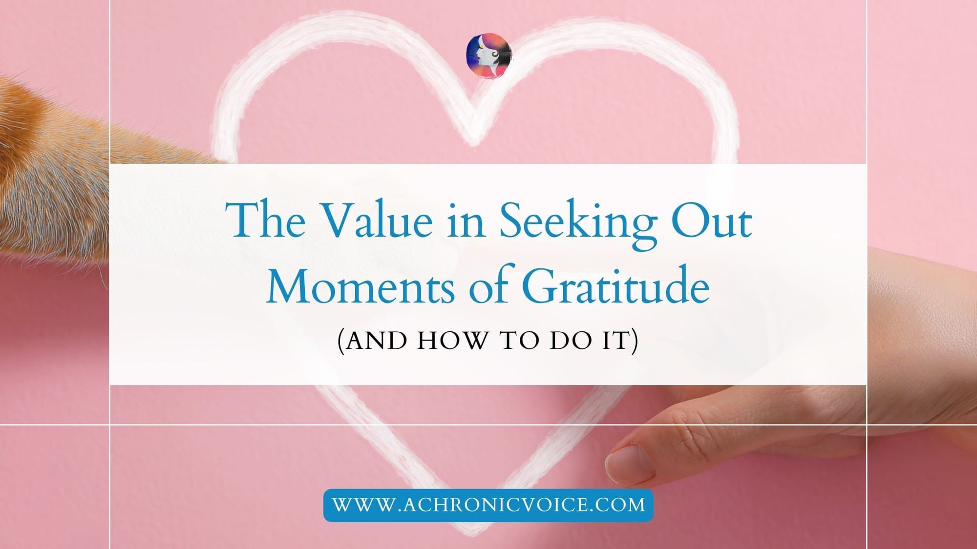 The Value in Seeking Out Moments of Gratitude (and How to do it)