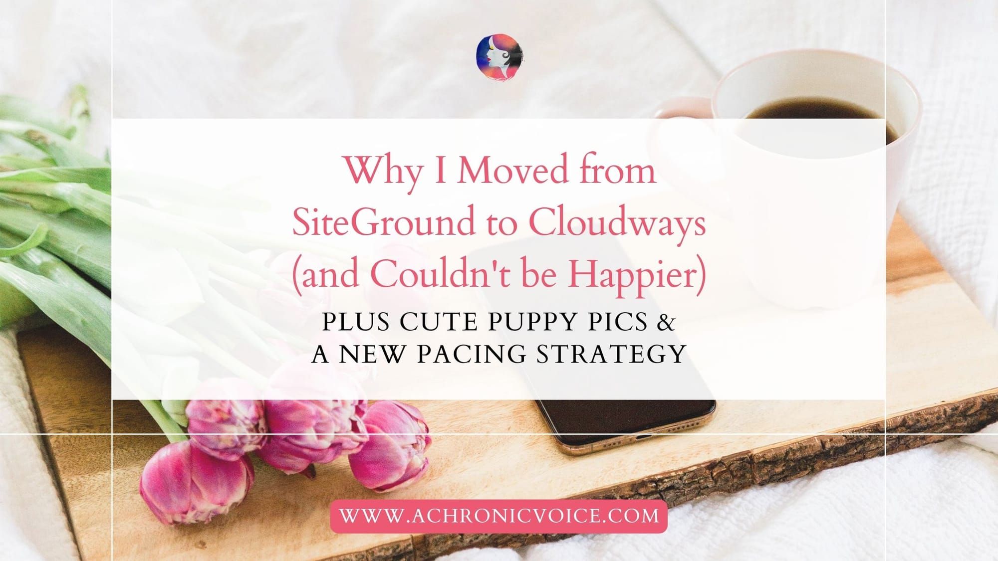 Why I Moved from SiteGround to Cloudways (and Couldn't be Happier). Plus Cute Puppy Pics & A New Pacing Strategy.