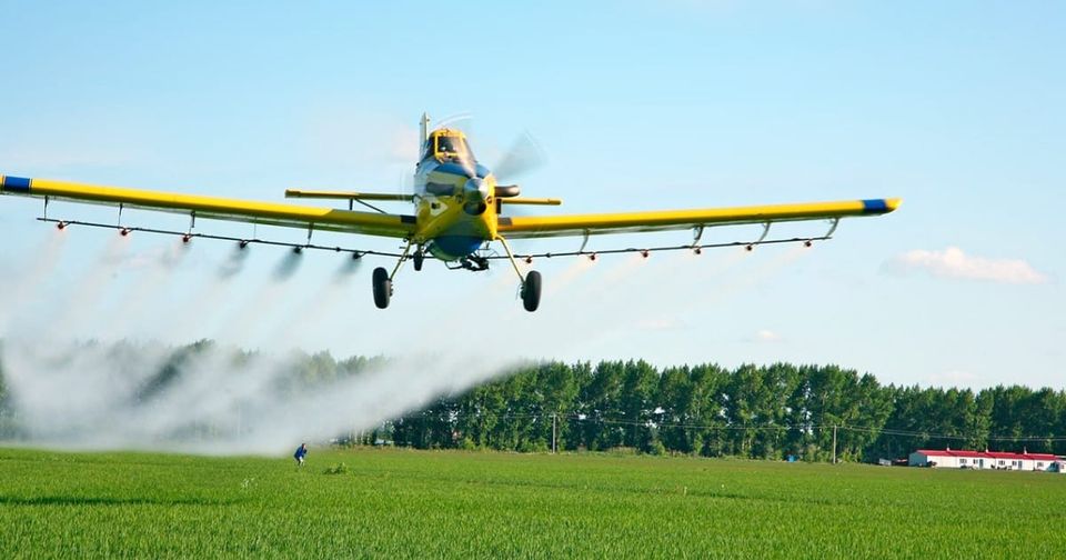 El regreso del glifosato: un debate entre la presión internacional y los precedentes constitucionales en Colombia