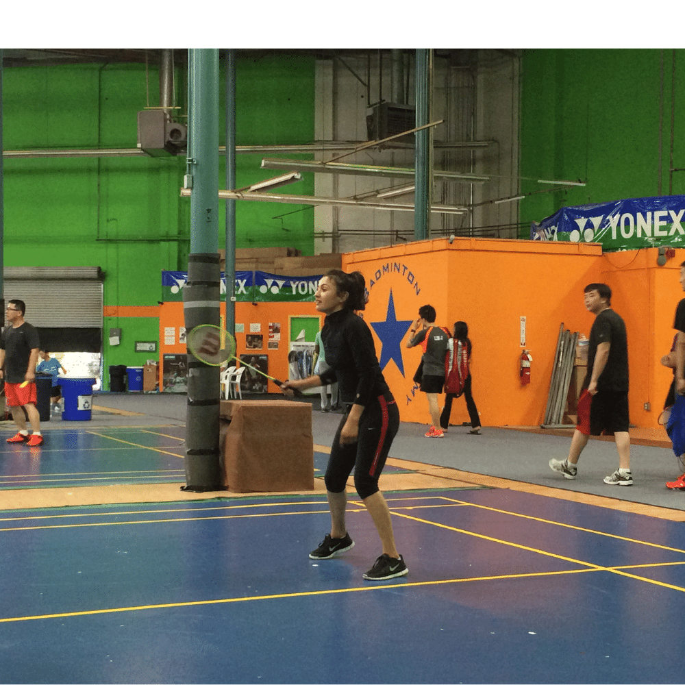 best badminton shuttlecock