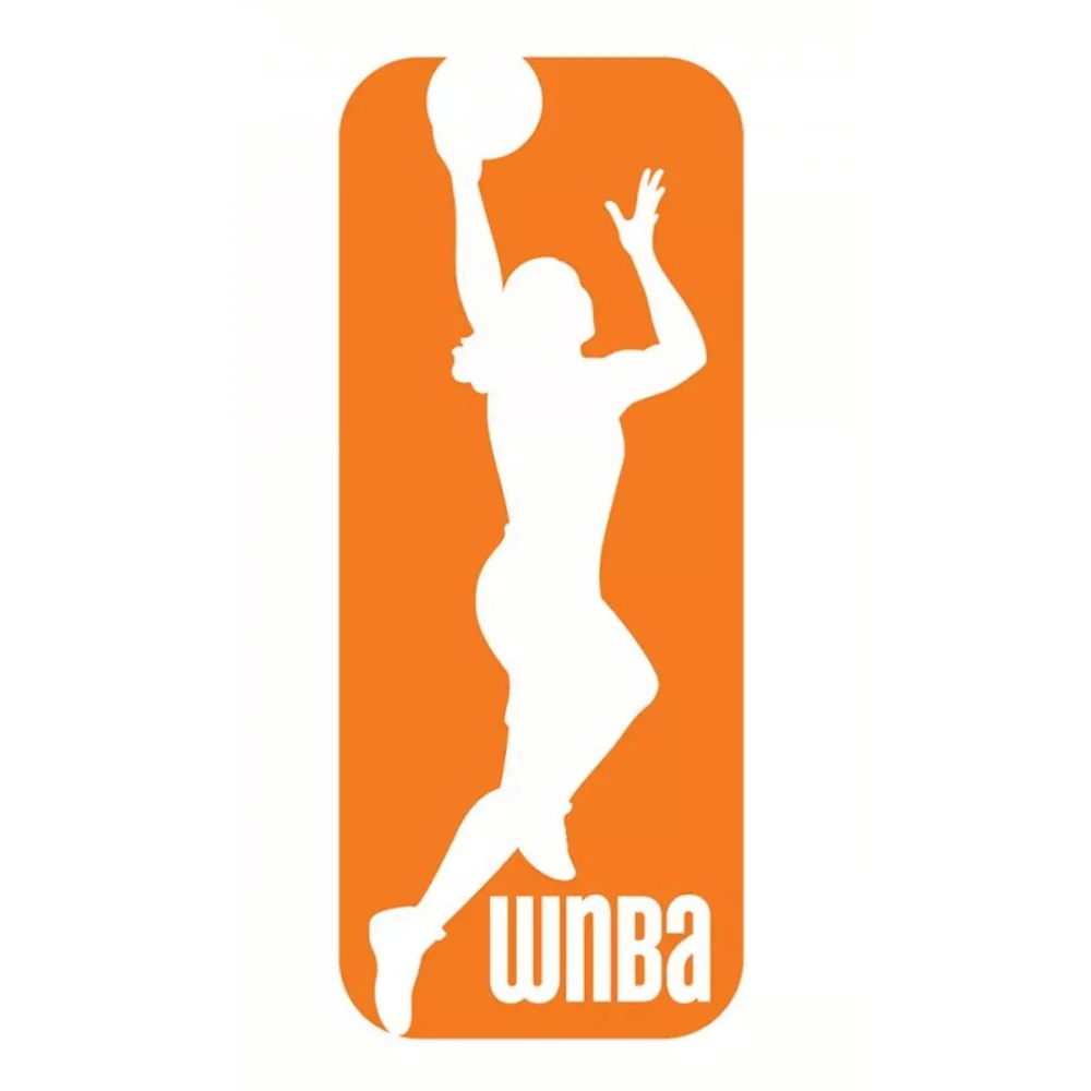 2013 WNBA logo