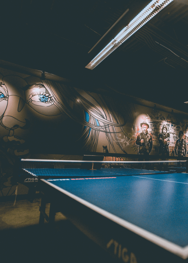 The Best Ping Pong Table on the market...according to Me!