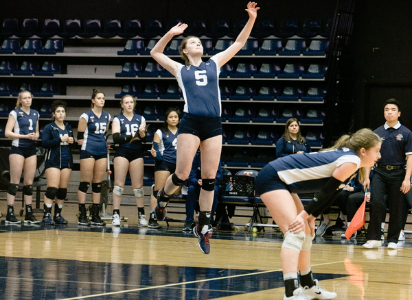 Are Volleyball Ankle Braces Actually Necessary to Play?