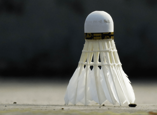 The Rise of the Feather Shuttlecock in Your Badminton Game