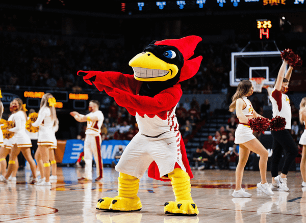 Red, Proud, and Strong: The Colleges with Cardinal Mascots