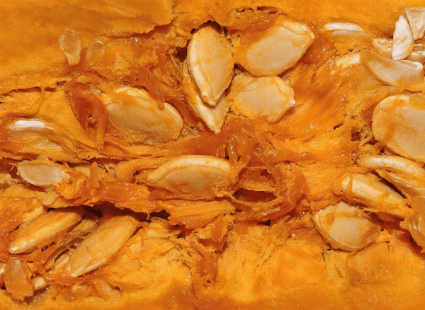 What is Pumpkin Seed Protein? Do You Even Need It?