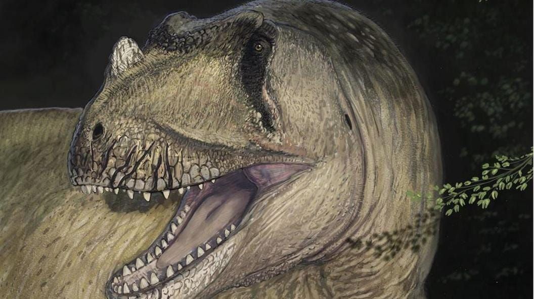 New Dinosaurs!!!