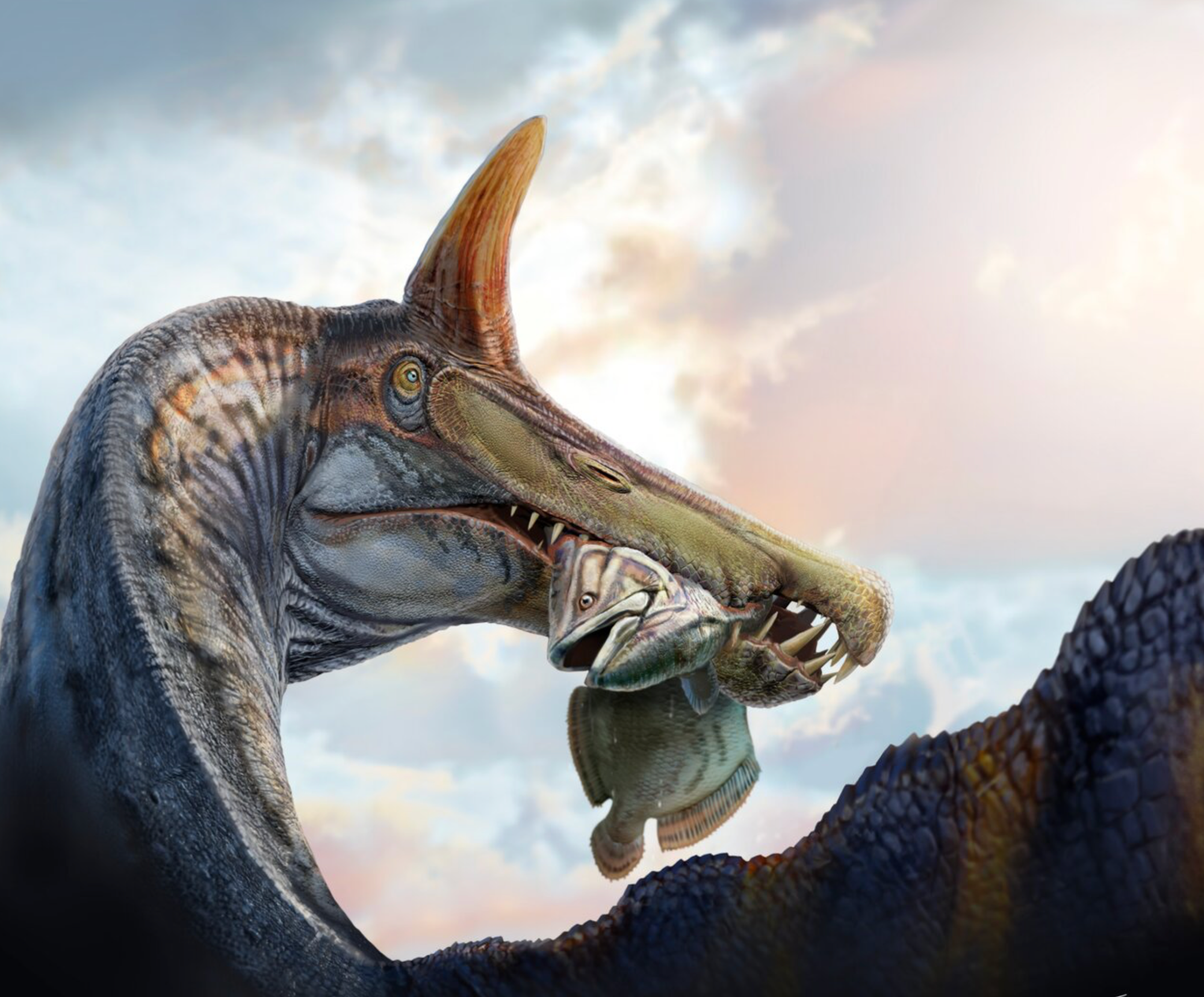 Winter 2026 : The Dinosaurs Discovered This Season