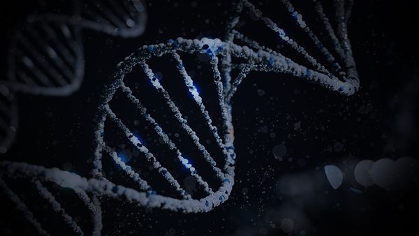 CLONING THE IMPOSSIBLE: WHY WE CAN'T CLONE DINOSAURS