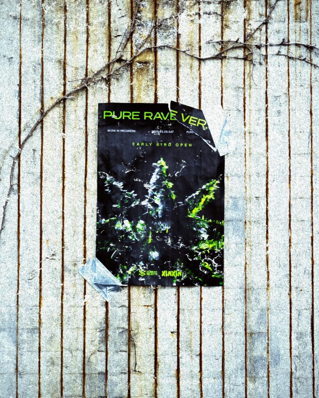 PURE RAVE poster on a wall