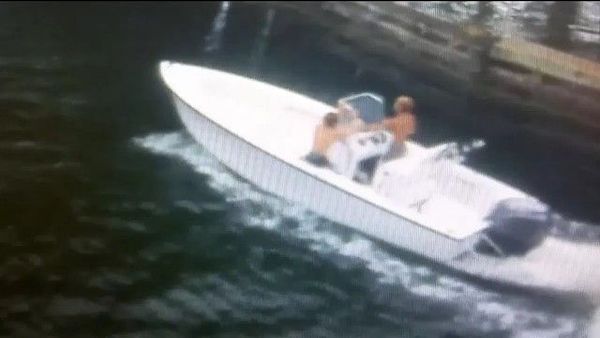 The Disappearance of Perry Cohen and Austin Stephanos